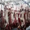 Frozen Beef Carcass