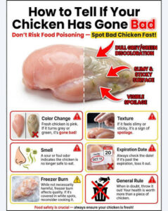 Frozen Chicken Demand Forecast 2026