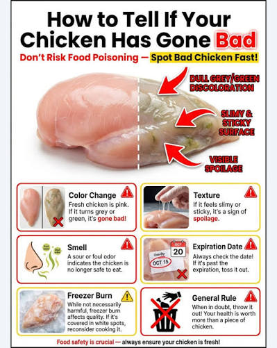 Frozen Chicken Demand Forecast 2026